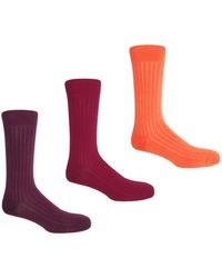 Peper Harow - Made in England - Three Pack Essential Socks - Lyst