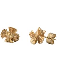 Zula Jewelry + Design - Cedar Cone Stud Earrings - Lyst