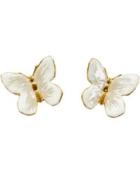 The Pink Reef - Small Glassine Butterfly - Lyst