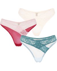 Wild Lovers - Florianne Brief Multipack - Lyst