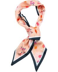 Miss Cicconi - Brigitte - Lyst