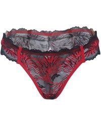 Carol Coelho - Pomegranate Love Lace Tanga - Lyst