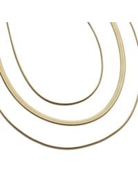 Elk & Bloom - Multi Chain Choker Necklace - Lyst