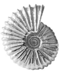 Lee Renee - Ammonite Lapel Pin – - Lyst
