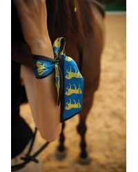 Neightiv - Dressage Rhythm Twilly - Lyst