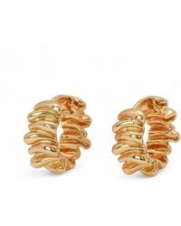 Miss Cecilia - Aurum Crease Hoops - Lyst
