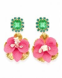 The Pink Reef - Vanda Orchid Gem Drop - Lyst