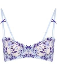 Wild Lovers - Elera Bra - Lyst