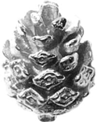 Lee Renee - Baby Pine Cone Lapel Pin - Lyst