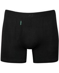 Zd - Zero Defects - Heracles Fly Front Boxer – Maximum Softness For Sensitive Skin - Lyst