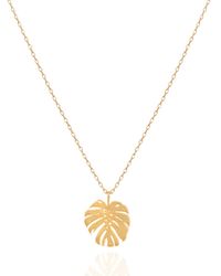 C.J.M - Cheese Plant Necklace - Lyst