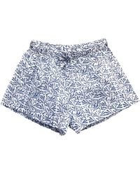 Lime Tree Design - Bud Cotton Sleep Shorts - Lyst