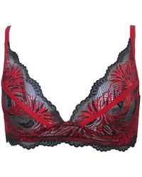 Carol Coelho - Pomegranate Love Lace Bralette - Lyst