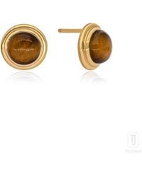 The Jewelz - Tigers Eye Singularity 925 Studs For Gifting - Lyst
