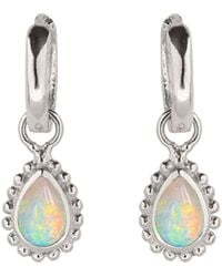 Charlotte's Web Jewellery - October Birthstone Sterling Huggie Hoops - Lyst