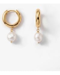 Elk & Bloom - Chunky 14K Freshwater Pearl Hoops - Lyst