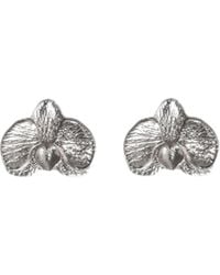 Agora Jewellery - Orchid Earrings - Lyst