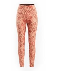 Befitnesslou - Coral Snake Legging - Lyst