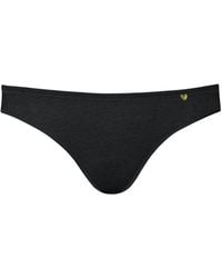 Zd - Zero Defects - Venus Mini Brief – Comfortable Fit & Skin-Friendly Soy Fiber - Lyst