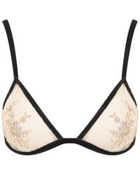 Belle -et-BonBon - Serafina Noir Bra - Lyst