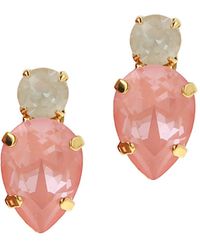 Otazu - Flamingo Beetle Earrings - Lyst