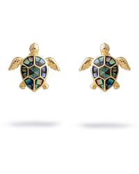 Ebru Jewelry - Ocean Spirit Turtle Pearl Stud Earrings - Lyst