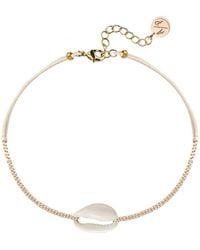 Adriana Pappas Designs - Mini Natural Shell 14K Filled Chain Anklet On Colored Cord - Lyst