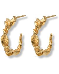 EVA REMENYI - Twisted Hoop Earrings 14 Ct - Lyst