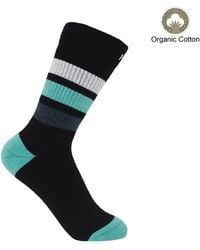 Peper Harow - Made in England - Organic Luxury Sports Socks Bundle - Lyst