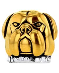 True Rocks - 2Tone 18Kt-Plated With Sterling Detail Bulldog Stud Earring - Lyst