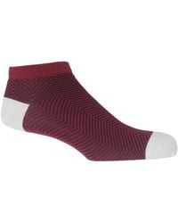 Peper Harow - Made in England - Lux Taylor Trainer Socks – Burgundy - Lyst