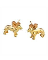 Simon Kemp Jewellers - Golden Labrador Stud Earrings Eighteen Carat On Solid Sterling - Lyst