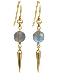 Rachel Nathan - Classic Hook: Labradorite Coin Earrings - Lyst