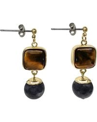 Farra - Tiger-Eye Stone With Obsidian Minimalist Earrings - Lyst