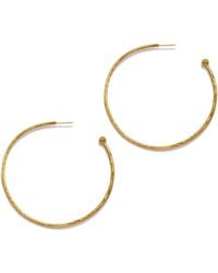 Jaredjamin - Medium Hooptastic Post Earrings - Lyst