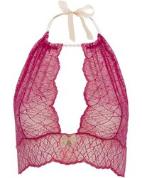 Bracli - Sydney Bralette - Lyst