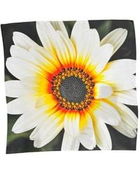 Lindsay Nicholas New York - African Daisy Bloom Silk Scarf - Lyst