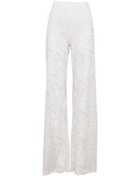 Zetaye - Lyric Lace Pant - Lyst