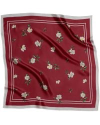 RainSisters - Small Floral Print Natural Silk Scarf - Lyst