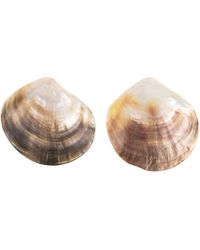 Oana Savu - Neutrals One Of A Kind Big Shimmering Natural Shells & Statement Earrings - Lyst