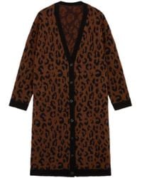 Little Lies - Love Bites Leopard Knit Cardigan - Lyst