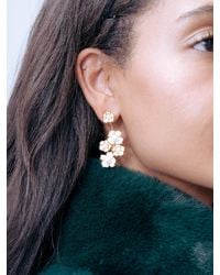The Pink Reef - Falling Florals - Lyst