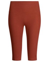 The Koozy - Charlotte High Waist Shorts - Lyst