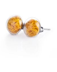 My Little Nature - Handcrafted Stud Glass Earrings With Natural Moss - Lyst