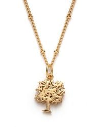 With Love Darling - Tree Of Life Necklace - Lyst