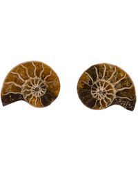 Oana Savu - Rare Tiny Ammonite Fossil & Stud Earrings - Lyst