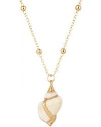 My Little Nature - Seashell Necklace With Golden Details And Plated Chain - Lyst