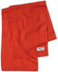 Arctic Fox & Co. - Recycled Bottle Scarf - Lyst