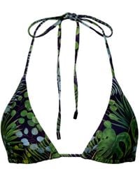 Playaluxe - Waikiki Triangle Bikini Top Palm - Lyst