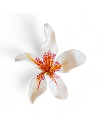 Sunset Magic Studio - Florise - Lyst